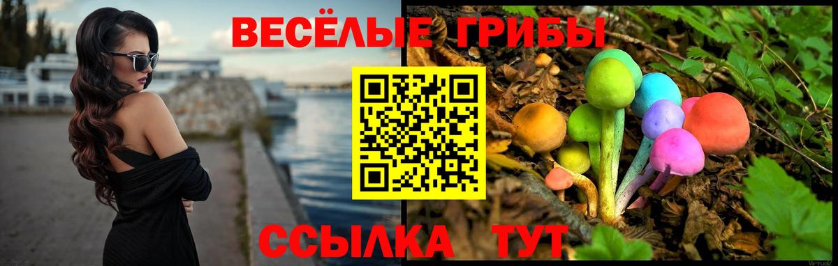 Кировск  Псилоцибиновые грибы ЛСД  Псилоцибиновые грибы Magic Shrooms  Вход с VPN 
