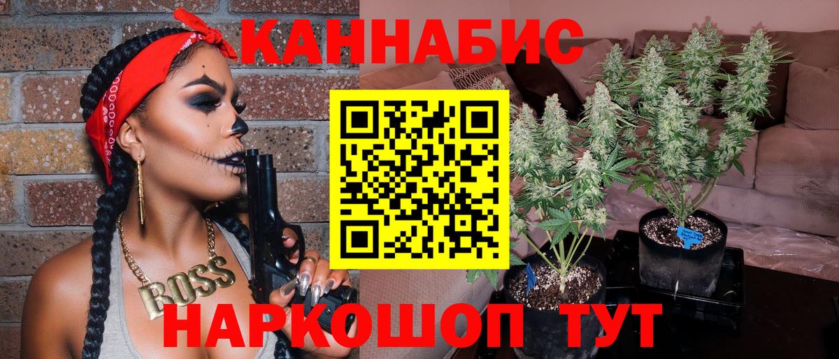Бошки марихуана план  Конопля планчик  Вход с VPN  Кировск 
